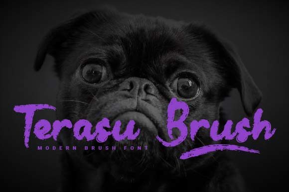Terasu Brush: A Warm, Confident Handwritten Font for Small Business Branding